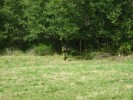 Shooter s War (32).JPG